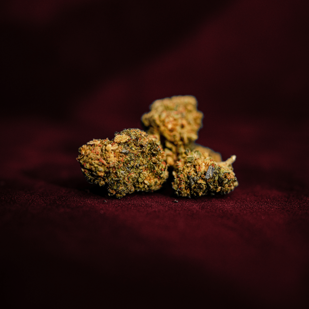 Mars Galactic Edition - Infiorescenza di Canapa Light - Space CBD Cannabis Light CBD+HHC by LunaWeed - LunaWeed