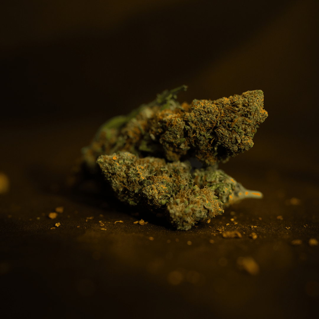 Sun Weed - Infiorescenza di Canapa Light - Space CBD by LunaWeed - LunaWeed