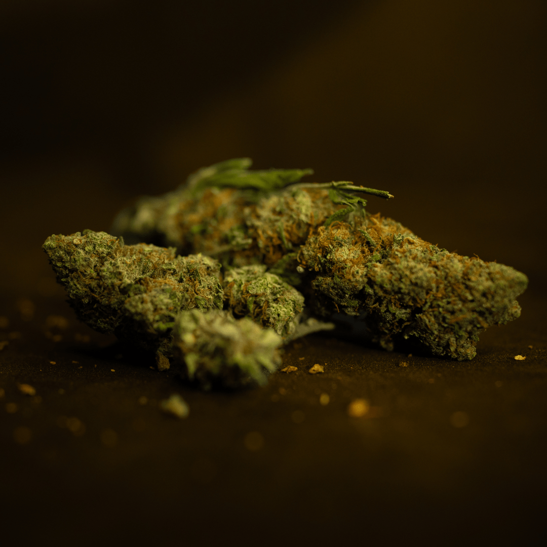 Sun Weed - Infiorescenza di Canapa Light - Space CBD by LunaWeed - LunaWeed
