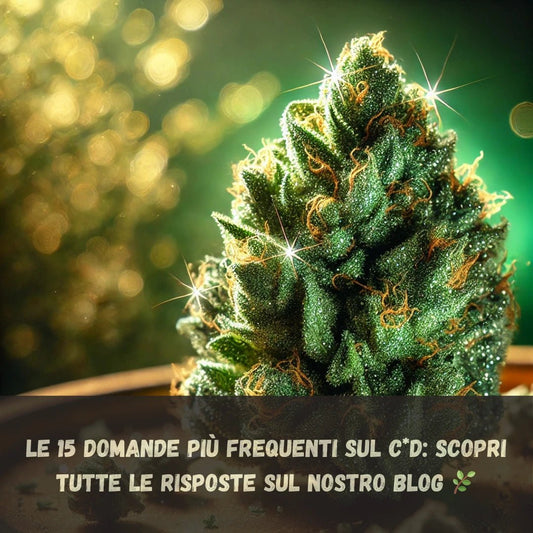 CBD: Cos'è, Effetti, Benefici e Proprietà - FAQ Complete [Guida 2024] - LunaWeed